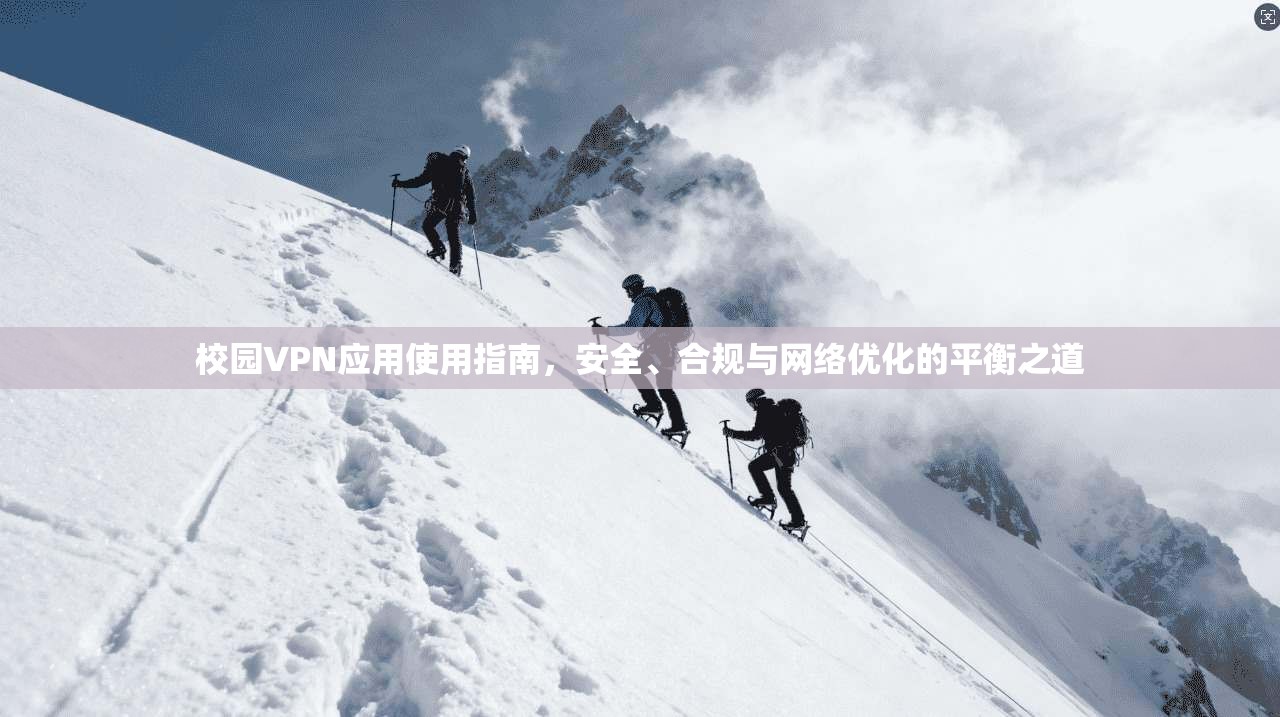 校园VPN应用使用指南,安全、合规与网络优化的平衡之道