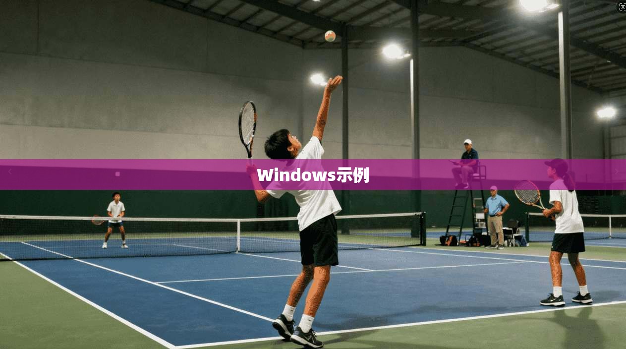 Windows示例