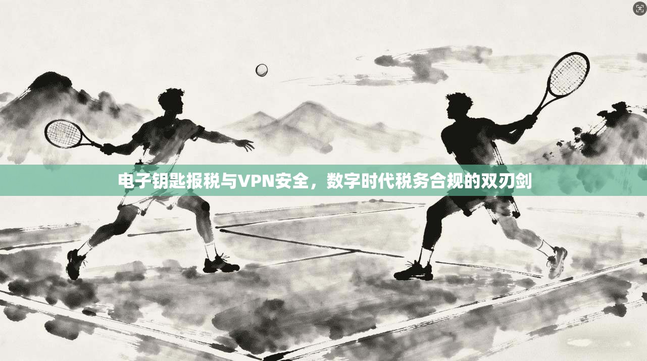 电子钥匙报税与VPN安全,数字时代税务合规的双刃剑
