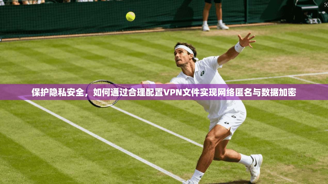 保护隐私安全，如何通过合理配置VPN文件实现网络匿名与数据加密