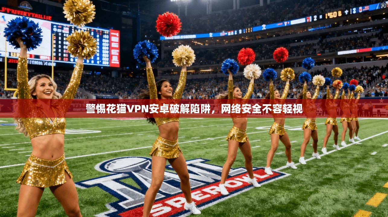 警惕花猫VPN安卓破解陷阱，网络安全不容轻视