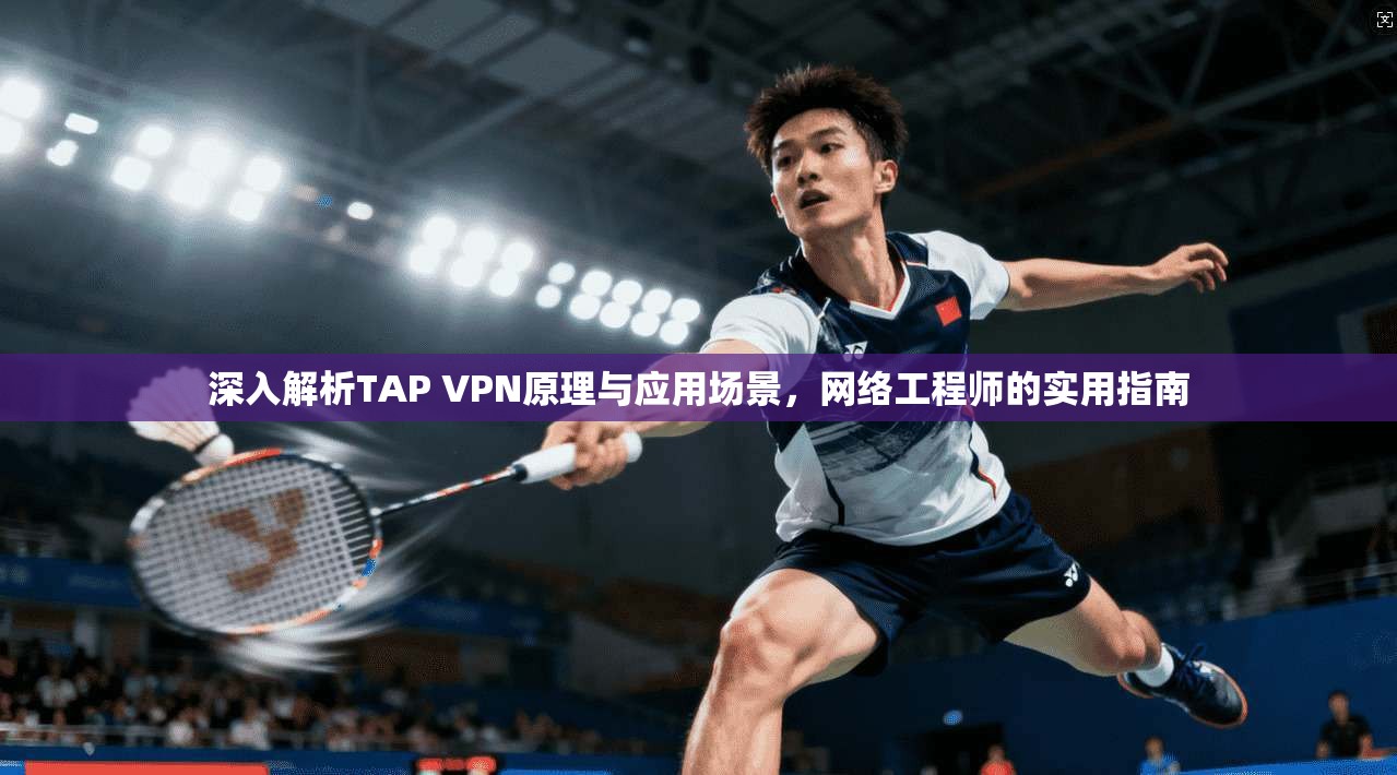 深入解析TAP VPN原理与应用场景，网络工程师的实用指南