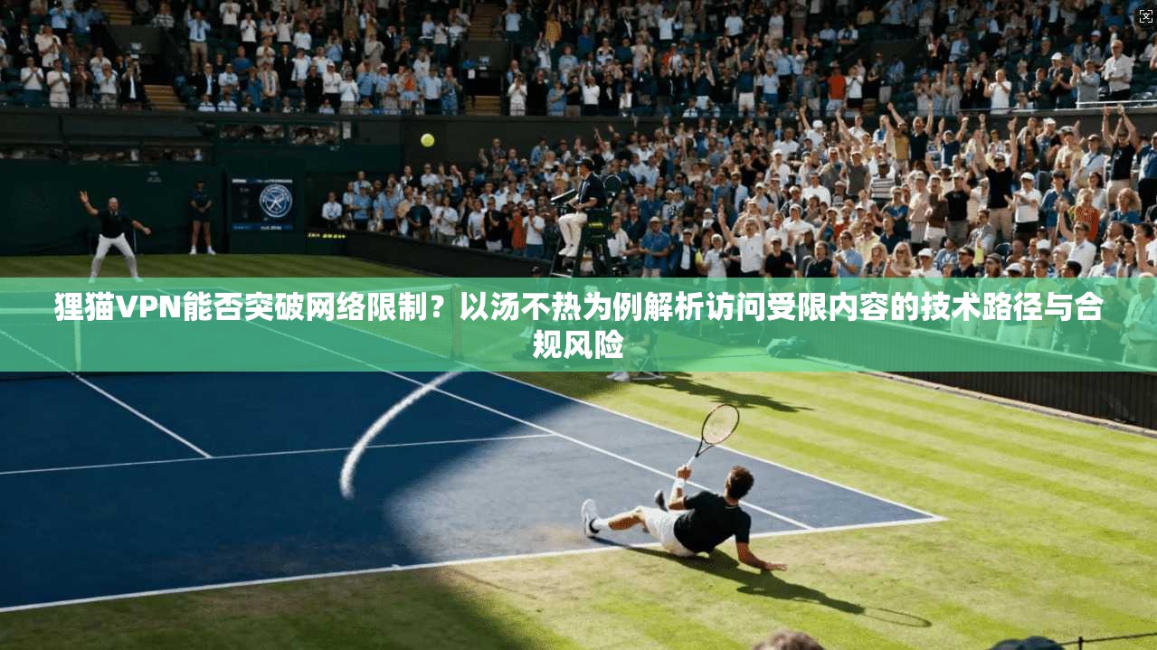狸猫VPN能否突破网络限制？以汤不热为例解析访问受限内容的技术路径与合规风险