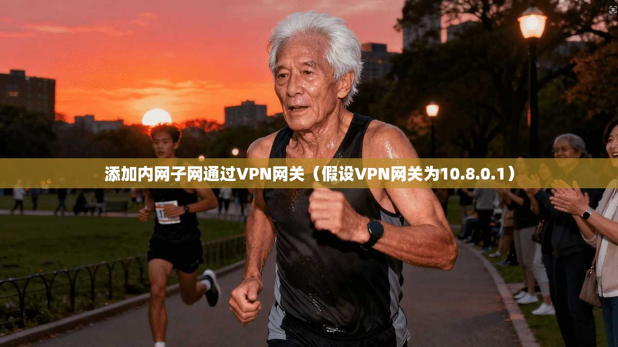 添加内网子网通过VPN网关（假设VPN网关为10.8.0.1）