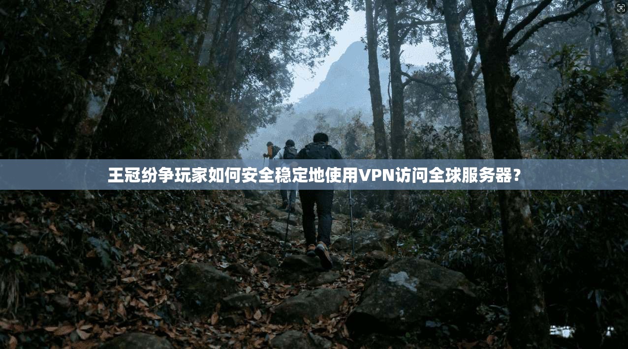 王冠纷争玩家如何安全稳定地使用VPN访问全球服务器？