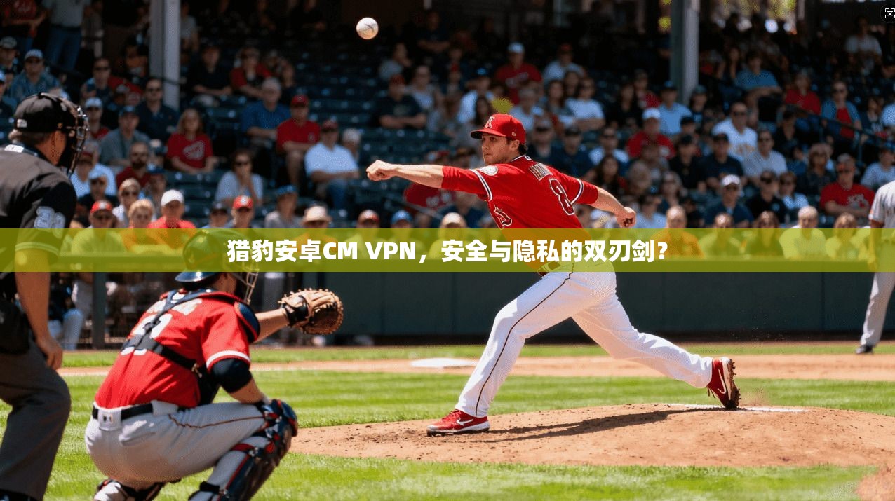 猎豹安卓CM VPN,安全与隐私的双刃剑?