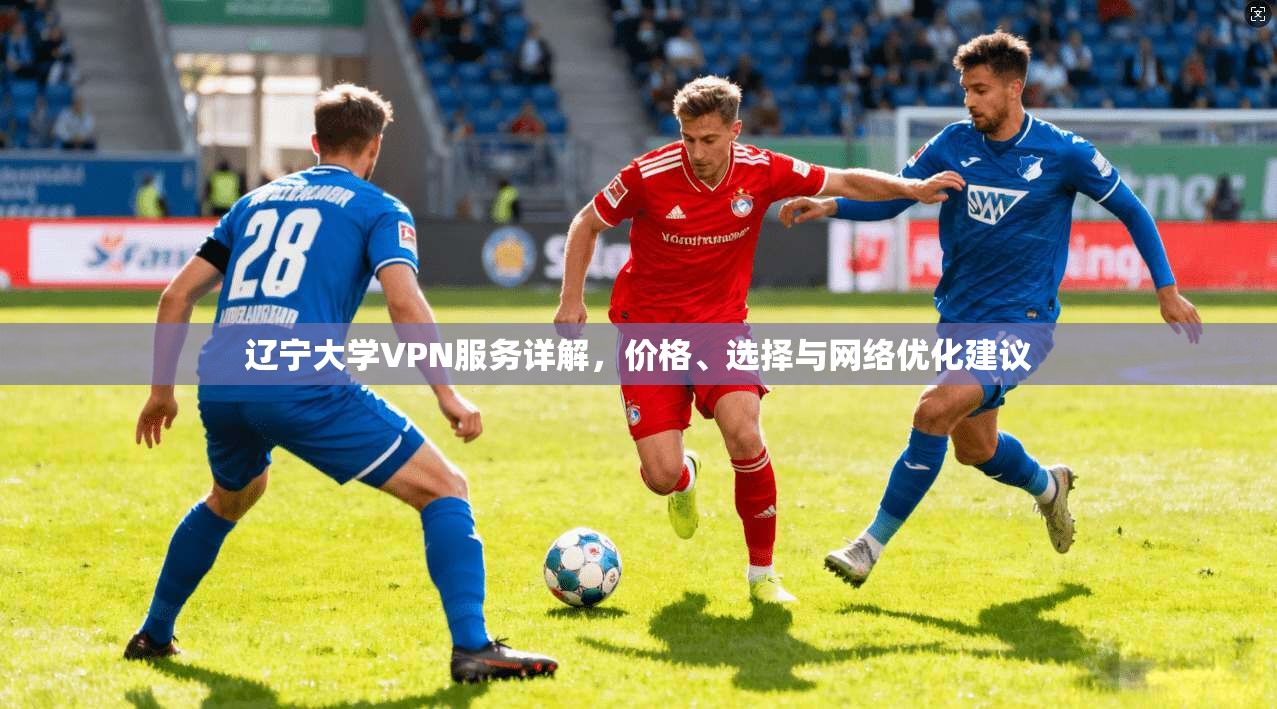 辽宁大学VPN服务详解,价格、选择与网络优化建议