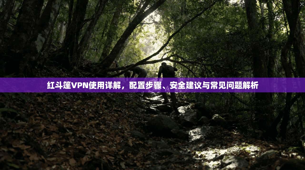 红斗篷VPN使用详解，配置步骤、安全建议与常见问题解析