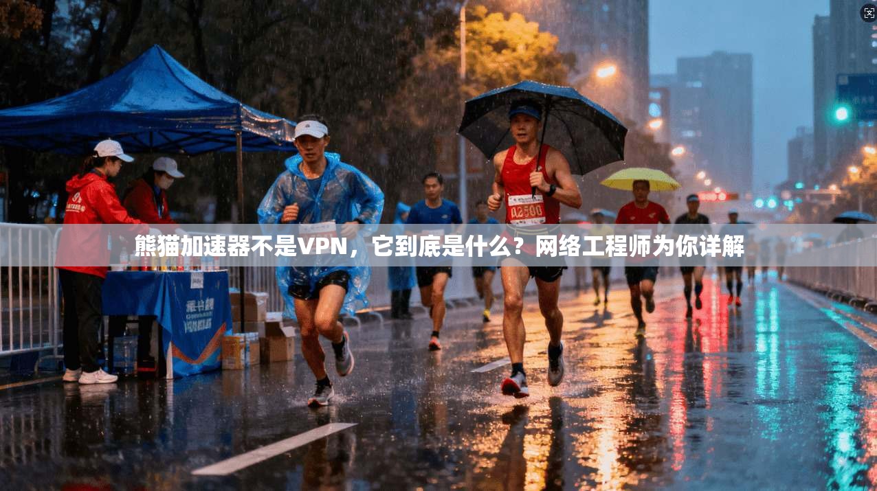 熊猫加速器不是VPN，它到底是什么？网络工程师为你详解