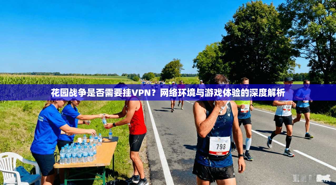 花园战争是否需要挂VPN?网络环境与游戏体验的深度解析
