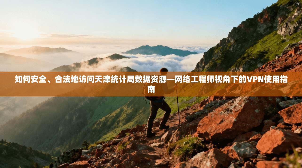 如何安全、合法地访问天津统计局数据资源—网络工程师视角下的VPN使用指南