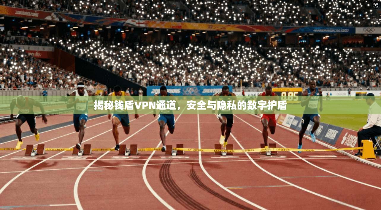 揭秘钱盾VPN通道，安全与隐私的数字护盾
