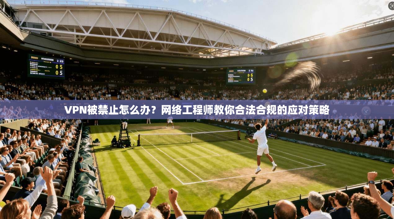 VPN被禁止怎么办?网络工程师教你合法合规的应对策略 VPN被禁止怎么办?网络工程师教你合法合规的应对策略