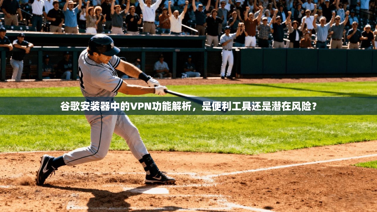 谷歌安装器中的VPN功能解析,是便利工具还是潜在风险?