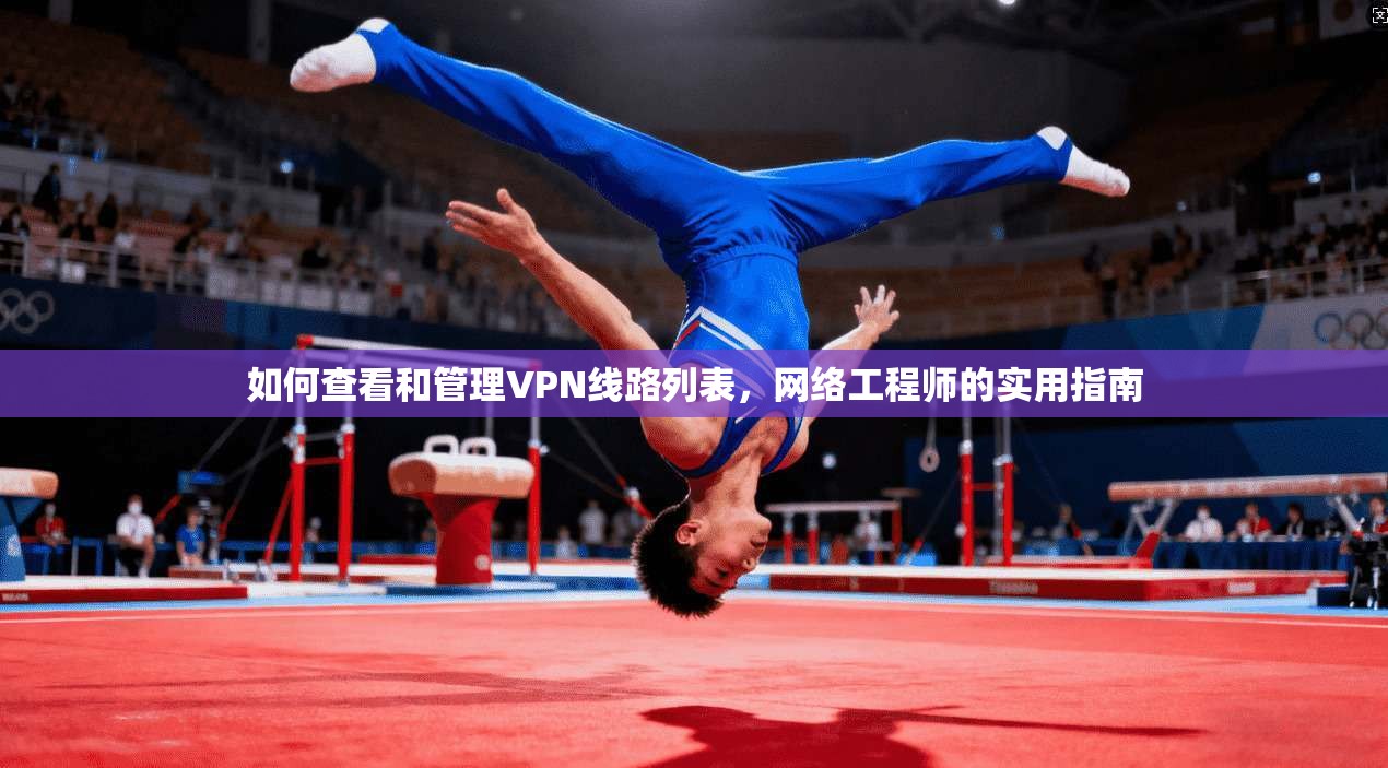 如何查看和管理VPN线路列表,网络工程师的实用指南