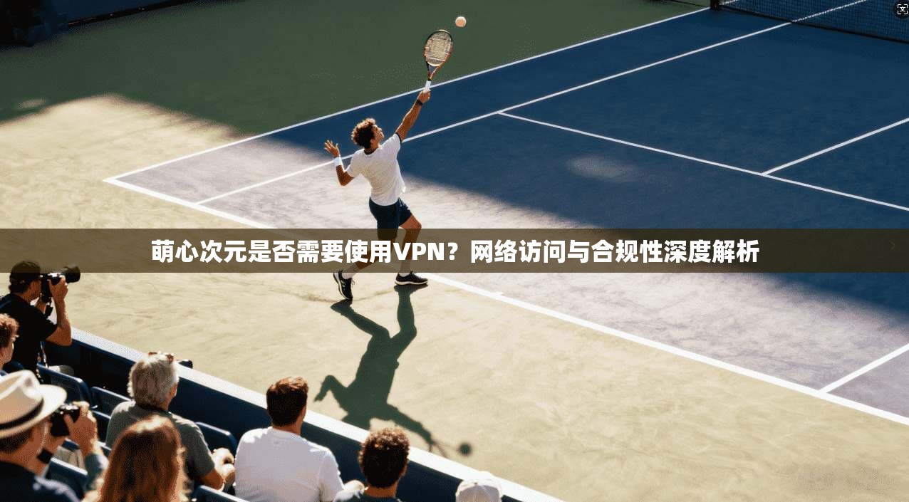 萌心次元是否需要使用VPN?网络访问与合规性深度解析 萌心次元是否需要使用VPN?网络访问与合规性深度解析