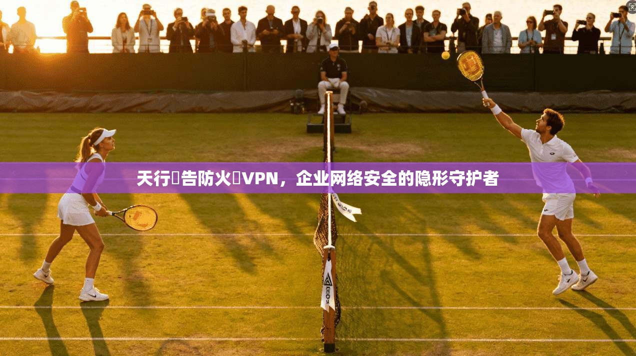 天行廣告防火牆VPN,企业网络安全的隐形守护者 天行廣告防火牆VPN,企业网络安全的隐形守护者