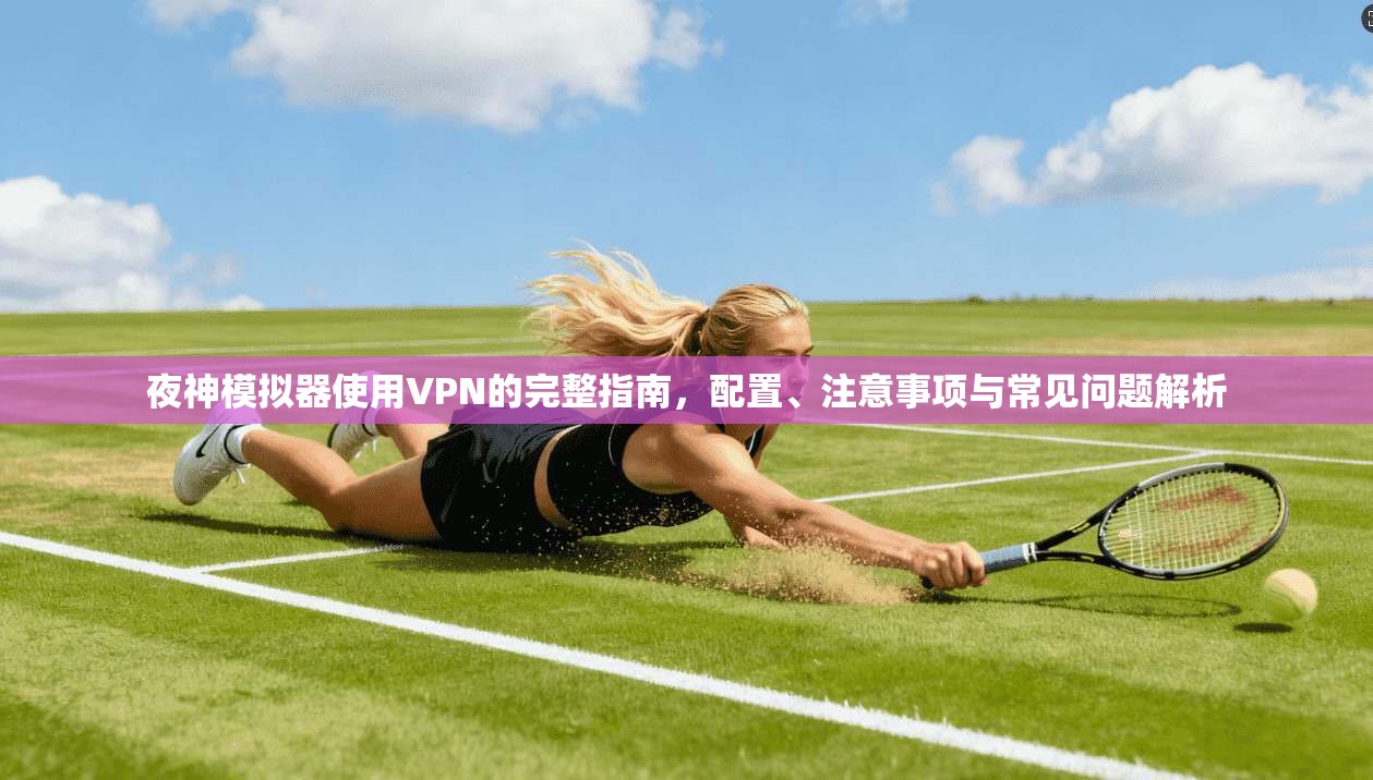 夜神模拟器使用VPN的完整指南,配置、注意事项与常见问题解析 夜神模拟器使用VPN的完整指南,配置、注意事项与常见问题解析