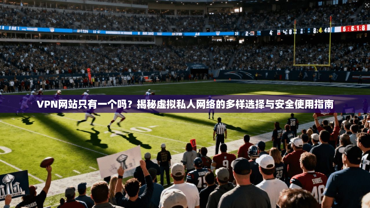 VPN网站只有一个吗?揭秘虚拟私人网络的多样选择与安全使用指南 VPN网站只有一个吗?揭秘虚拟私人网络的多样选择与安全使用指南