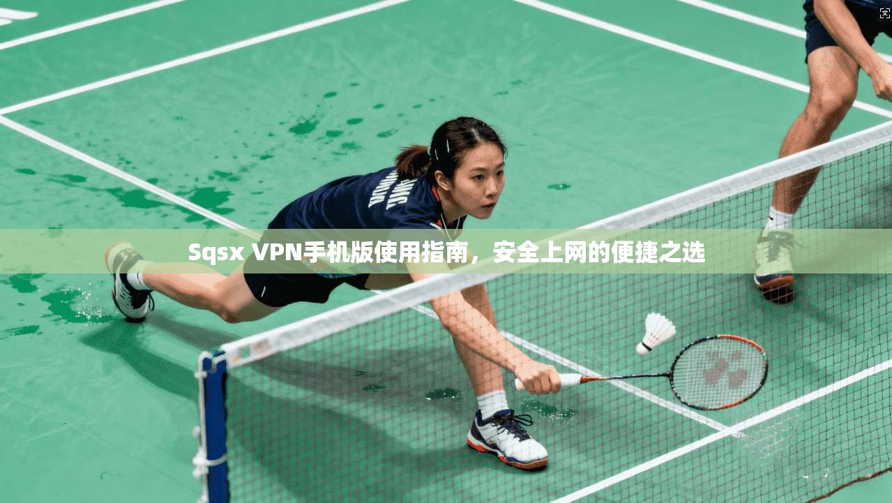 Sqsx VPN手机版使用指南，安全上网的便捷之选