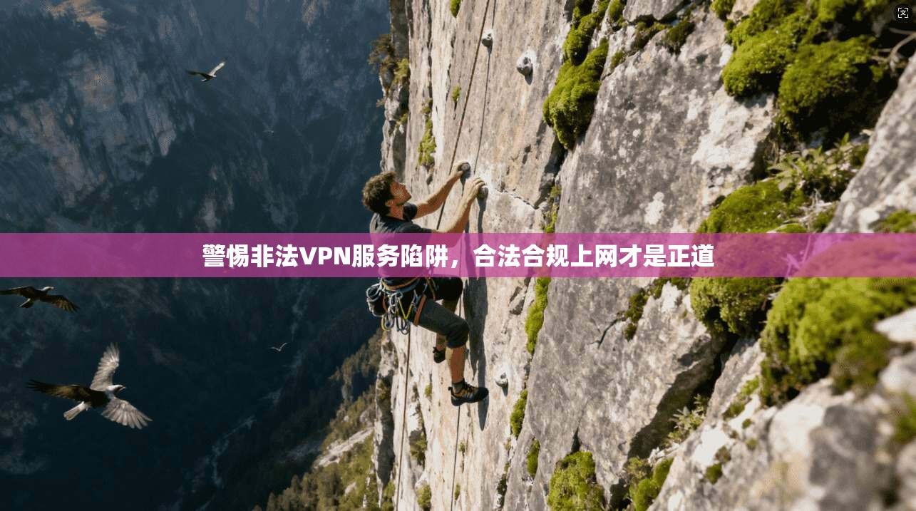 警惕非法VPN服务陷阱，合法合规上网才是正道