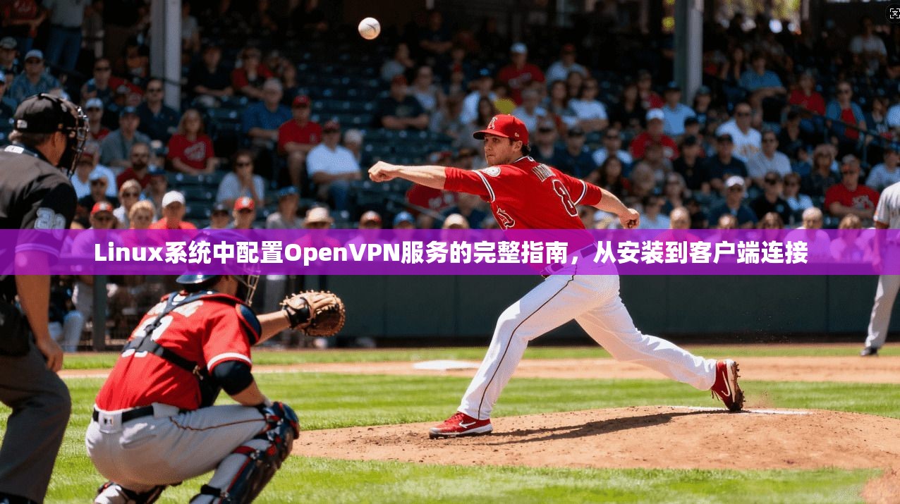 Linux系统中配置OpenVPN服务的完整指南,从安装到客户端连接 Linux系统中配置OpenVPN服务的完整指南,从安装到客户端连接