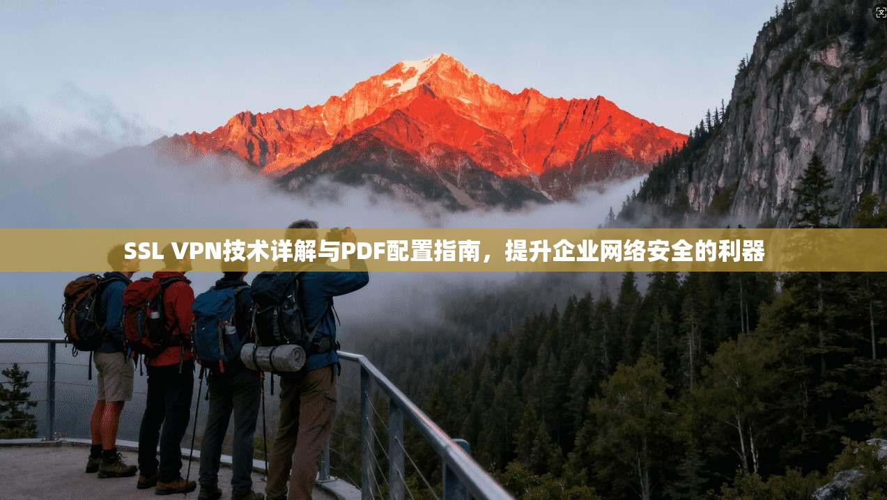 SSL VPN技术详解与PDF配置指南,提升企业网络安全的利器 SSL VPN技术详解与PDF配置指南,提升企业网络安全的利器