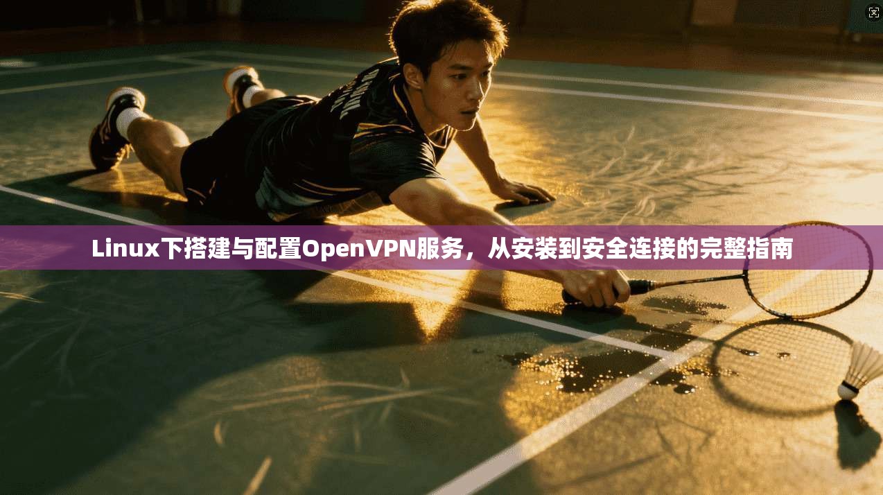 Linux下搭建与配置OpenVPN服务,从安装到安全连接的完整指南 Linux下搭建与配置OpenVPN服务,从安装到安全连接的完整指南