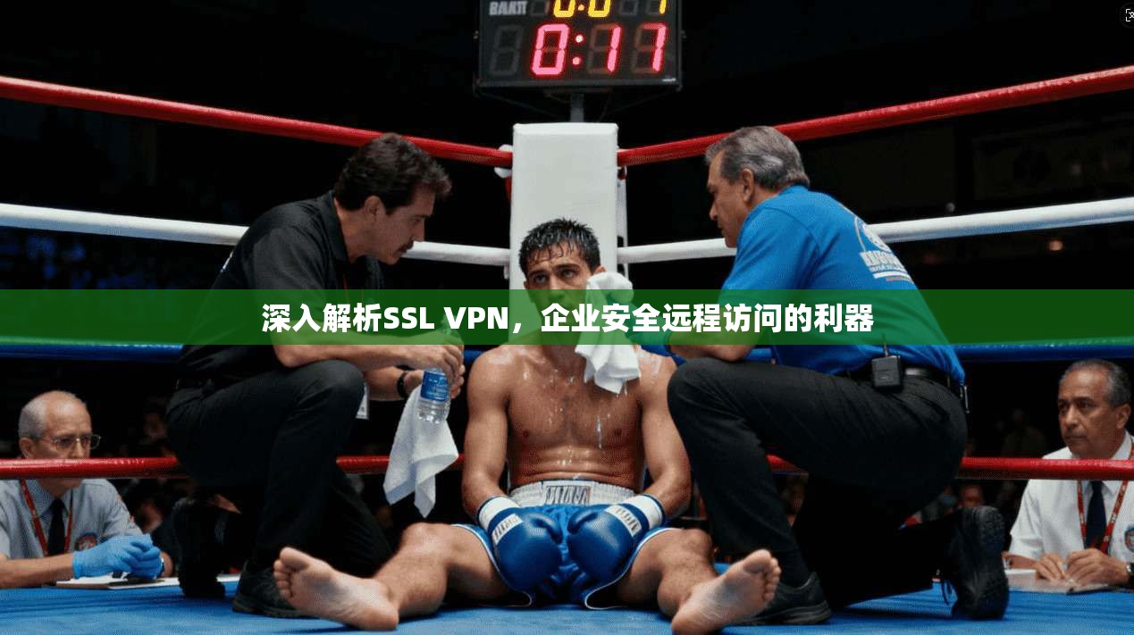 深入解析SSL VPN,企业安全远程访问的利器