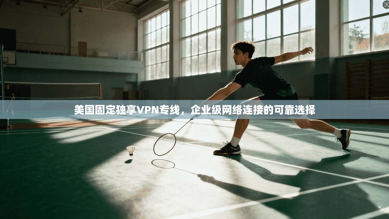 美国固定独享VPN专线，企业级网络连接的可靠选择